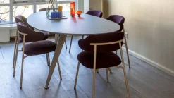 Design Stoelen|Eetkamerstoelen Zonder Armleuning-Artifort Aloa Eetkamerstoel Roze, Rood