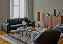 Design Fauteuils-Leolux Anton Fauteuil