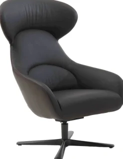 Oorfauteuils|Draaifauteuils-Bert Plantagie Avia Fauteuil Black