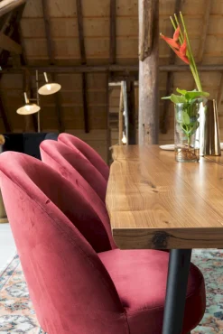 Kuipstoelen|Eetkamerstoelen Zonder Armleuning-Dutchbone Barbara Eetkamerstoel Red