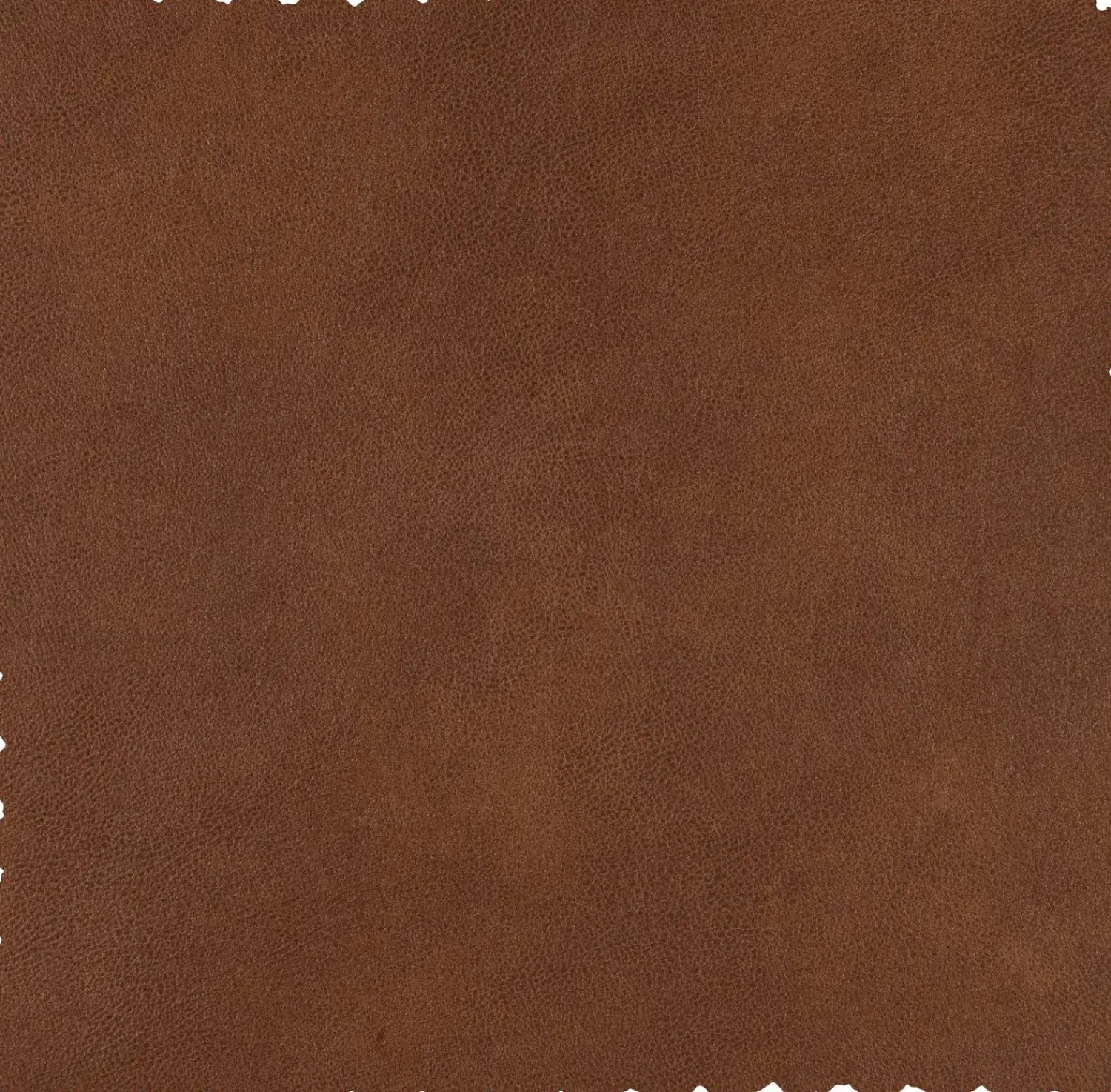 Leren Fauteuils-WOOOD Bean Fauteuil Cognac