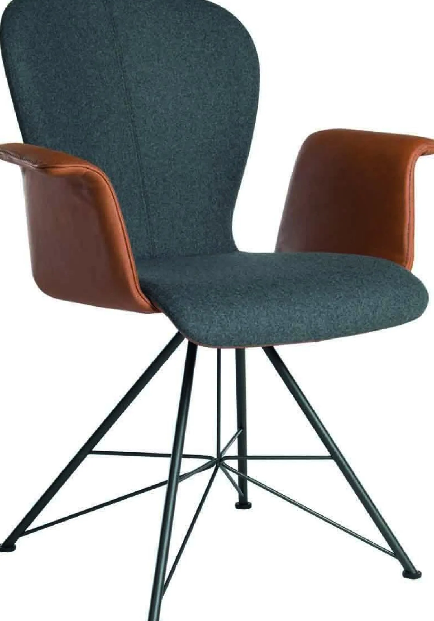 Design Stoelen|Eetkamerstoelen Met Armleuning-Bert Plantagie Blake Armstoel Bruin, Grijs