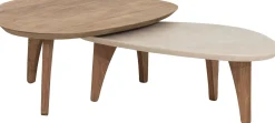 Organische Salontafels-DTP Home Bliss Salontafelset Naturel, Bruin