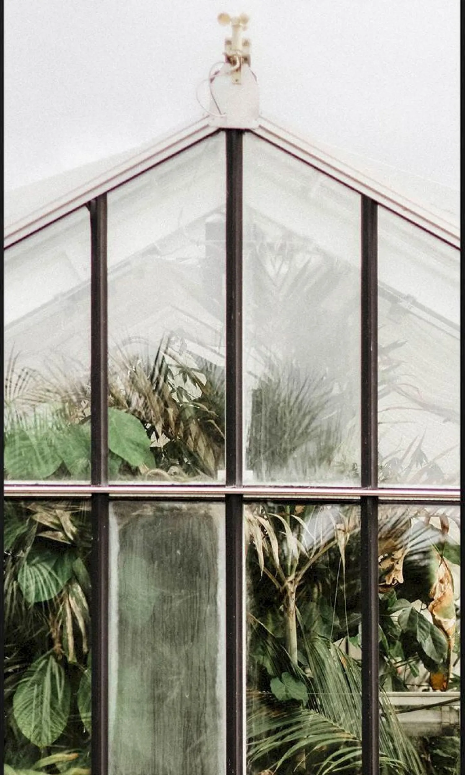 Wanddecoraties-Trendhopper Botanical Stories Wanddecoratie Multi