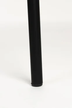 Eetkamerstoelen Zonder Armleuning-Zuiver Buddy (set van 2) Eetkamerstoel Zwart, Antraciet