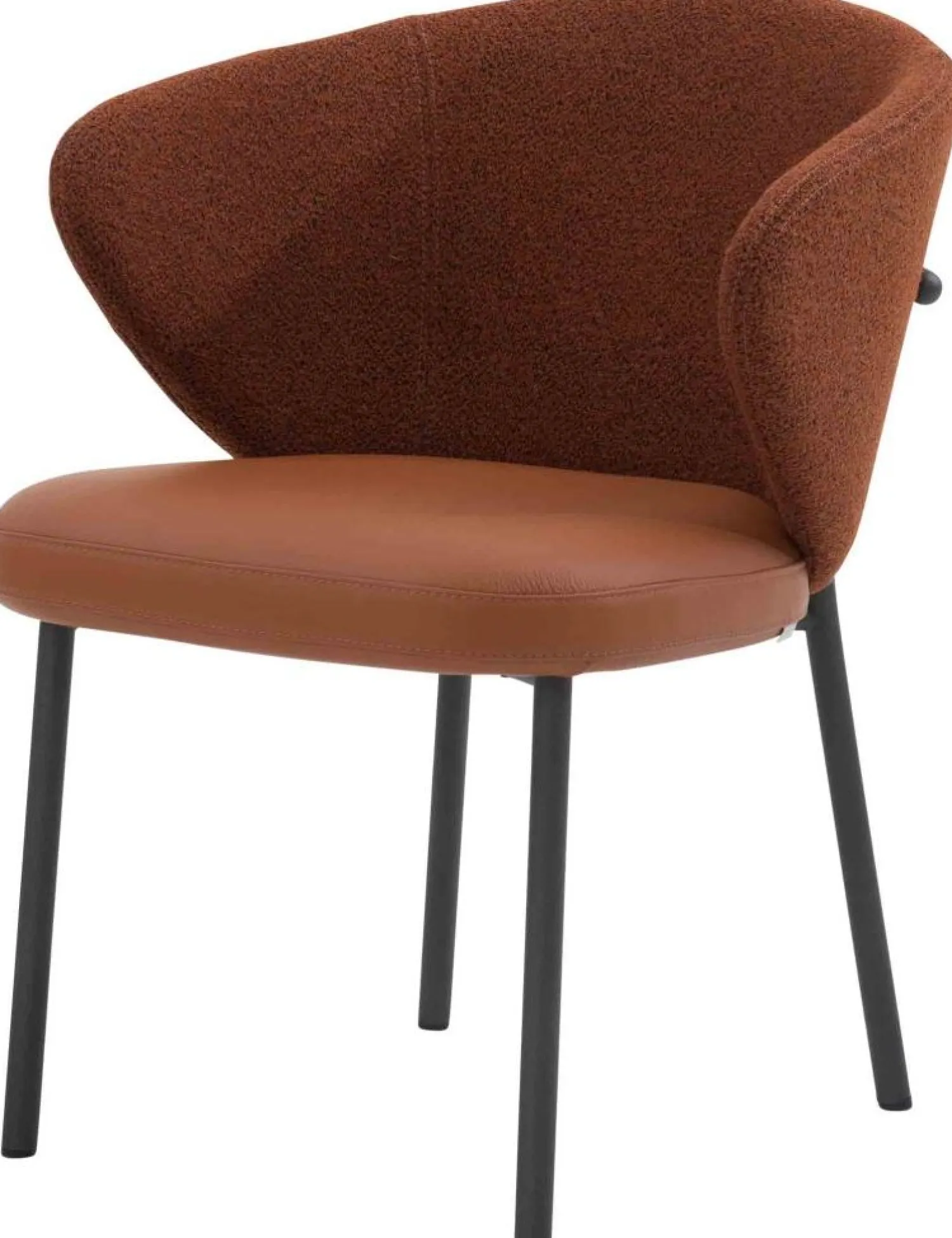 Design Stoelen|Kuipstoelen-Bert Plantagie Calix Four Eetkamerstoel Bronze