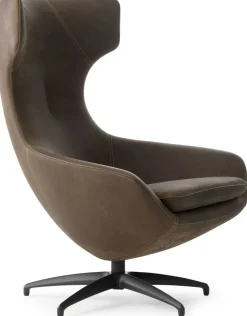 Leren Fauteuils|Design Fauteuils-Leolux Caruzzo Fauteuil Bruin