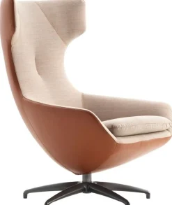 Leren Fauteuils|Design Fauteuils-Leolux Caruzzo Fauteuil Bruin
