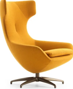 Leren Fauteuils|Design Fauteuils-Leolux Caruzzo Fauteuil Bruin