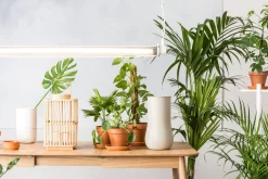 Vazen & Potten-Zuiver Fajen Marble Vaas White