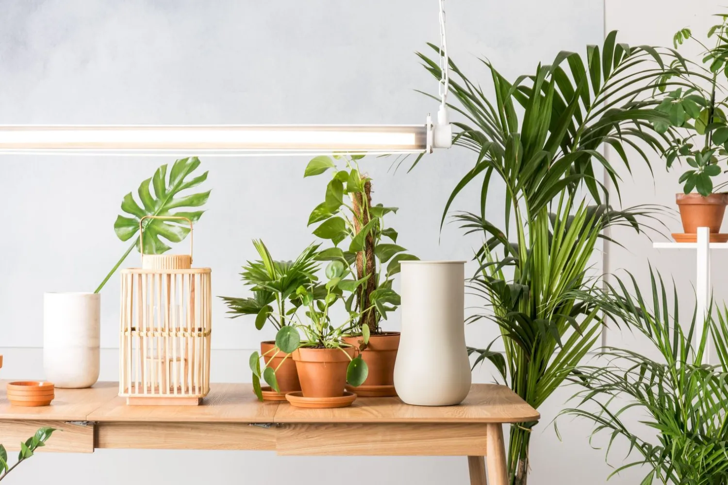 Vazen & Potten-Zuiver Fajen Marble Vaas White