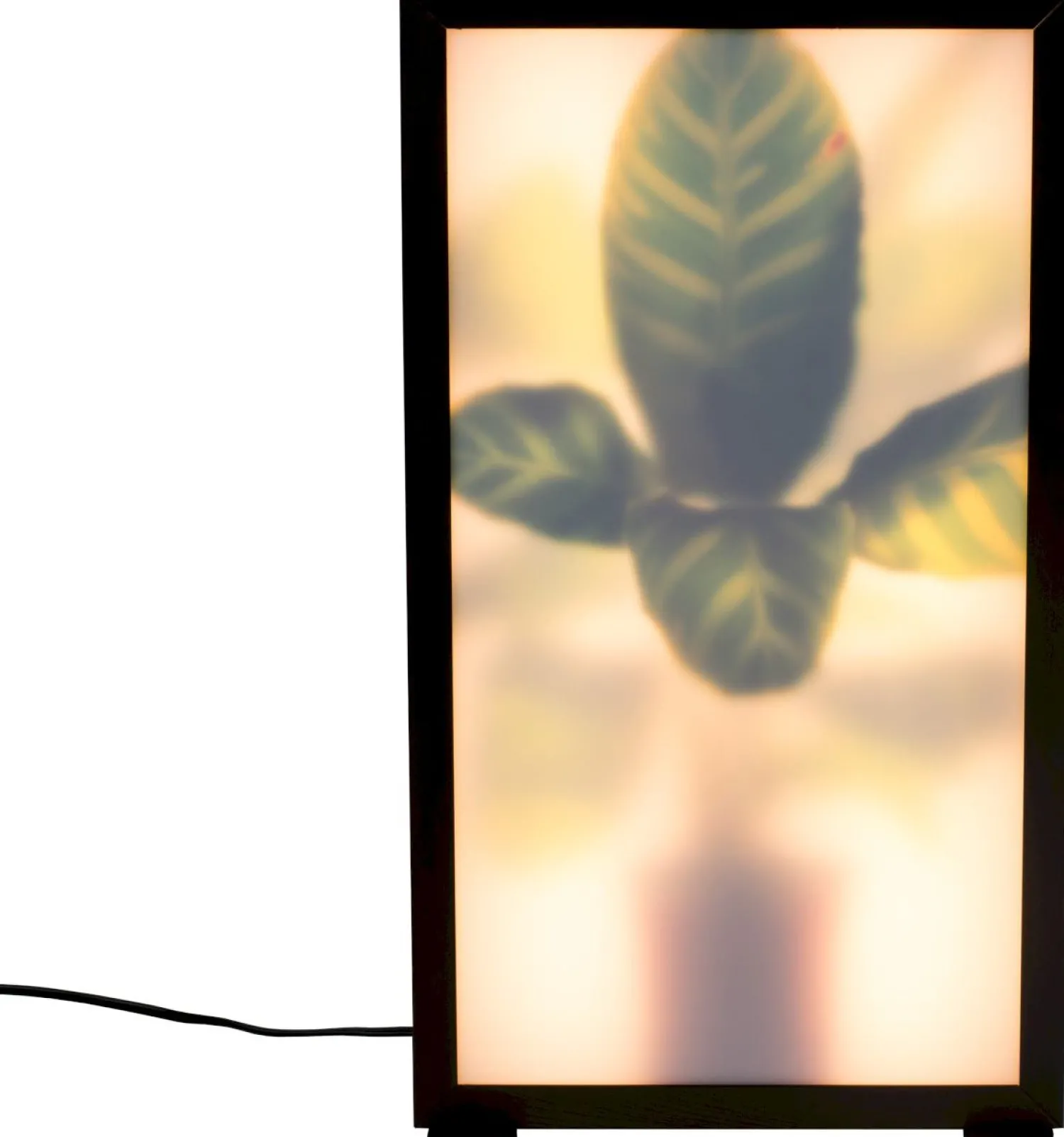 Moderne Vloerlampen|Vloerlampen-Zuiver Grow M Vloerlamp Black
