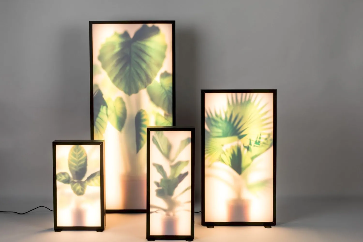 Moderne Vloerlampen|Vloerlampen-Zuiver Grow M Vloerlamp Black