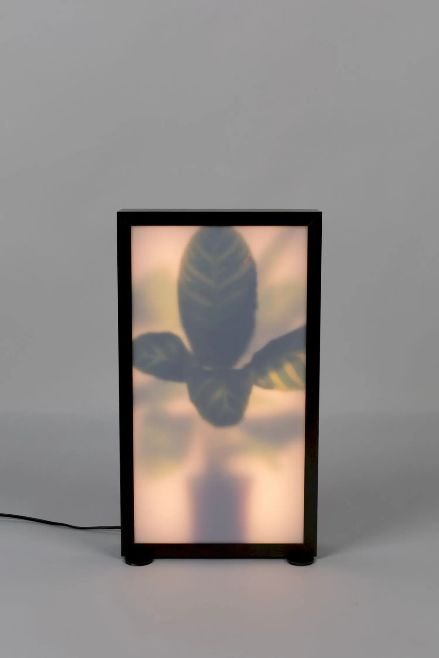 Moderne Vloerlampen|Vloerlampen-Zuiver Grow M Vloerlamp Black