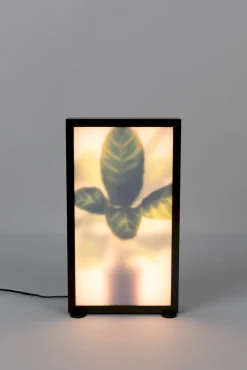 Moderne Vloerlampen|Vloerlampen-Zuiver Grow M Vloerlamp Black