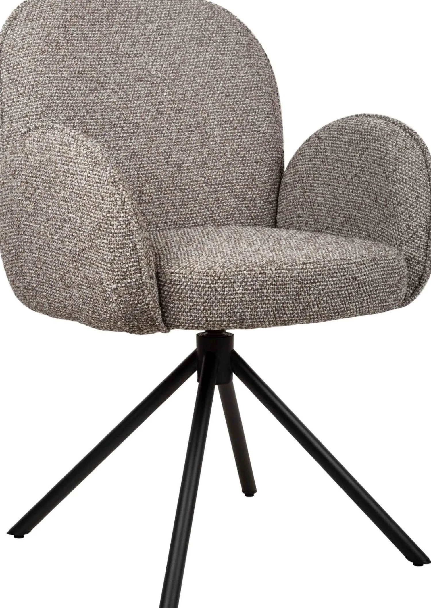 Eetkamerstoelen Met Armleuning-Eijerkamp Collectie Hidde Armstoel Bruin