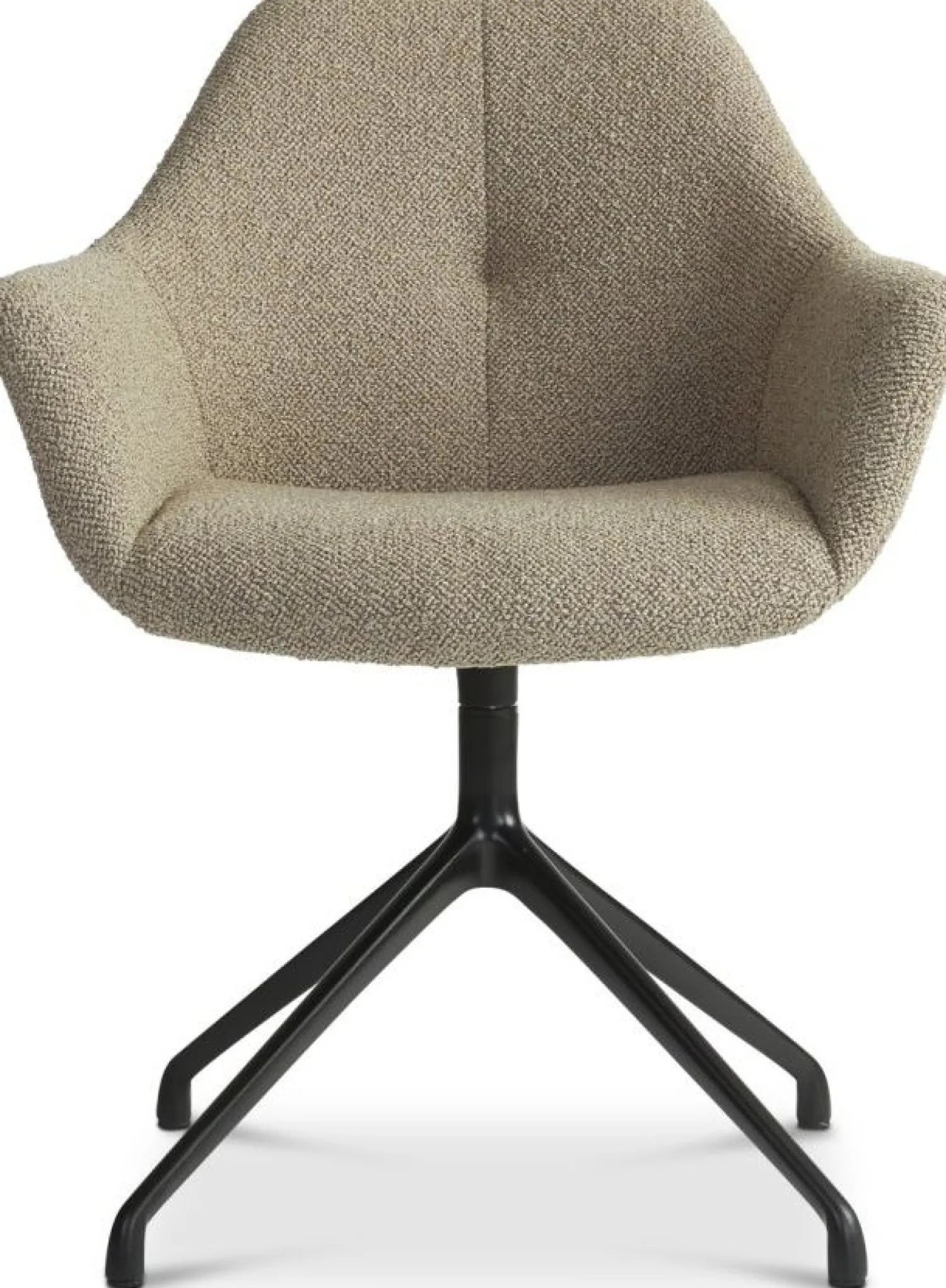 Eetkamerstoelen Met Armleuning-Eijerkamp Collectie Ids Eetkamerstoel Beige