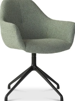 Eetkamerstoelen Met Armleuning-Eijerkamp Collectie Ids Eetkamerstoel Light Green