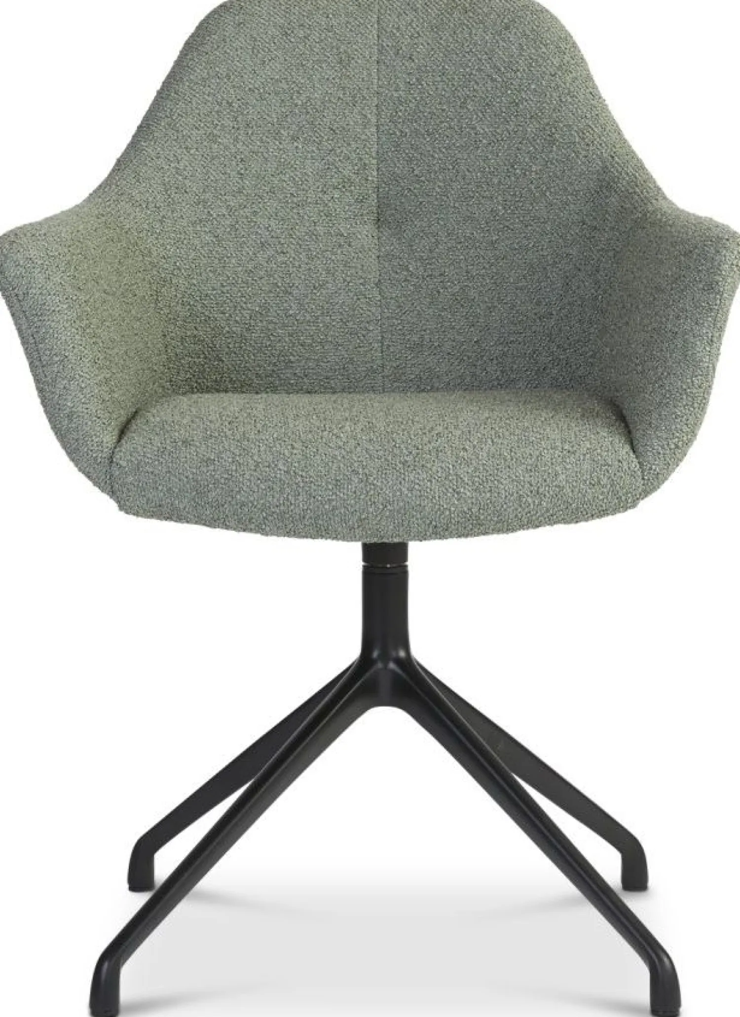 Eetkamerstoelen Met Armleuning-Eijerkamp Collectie Ids Eetkamerstoel Light Green