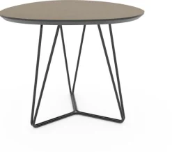 Organische Salontafels-Eijerkamp Collectie Kember Bijzettafel Bruin