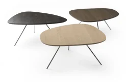 Design Salontafels|Organische Salontafels-Leolux Liliom Salontafel Black Glos