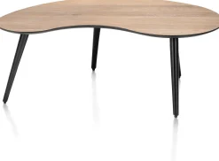 Organische Salontafels-Henders en Hazel Maze Nier M Salontafel Railway Brown