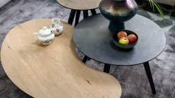 Organische Salontafels-Henders en Hazel Maze Nier S Salontafel Railway Brown
