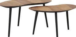 Houten Salontafels|Organische Salontafels-DTP Home Organus Salontafelset Naturel
