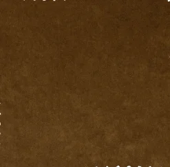 Zitbanken-WOOOD Rodeo 3-Zitsbank Honey