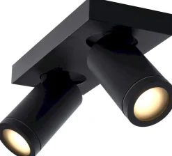 Industriële Plafondlampen|Plafondlampen-Lucide Taylor Plafondlamp Zwart