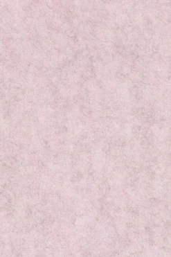 Eetkamerstoelen Zonder Armleuning-Zuiver Thirsty (set van 2) Eetkamerstoel Soft Pink
