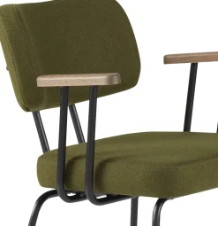 Eetkamerstoelen Met Armleuning-Eijerkamp Collectie Tom Onderstel Zwart Armstoel Green, Tabacco
