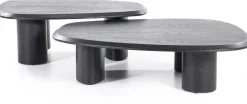 Organische Salontafels-Eleonora Walter Salontafel Zwart